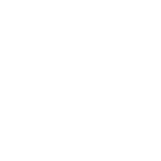 Ellipse 20